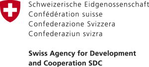 SDC RGB hoch pos