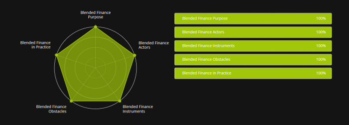 blended finance test